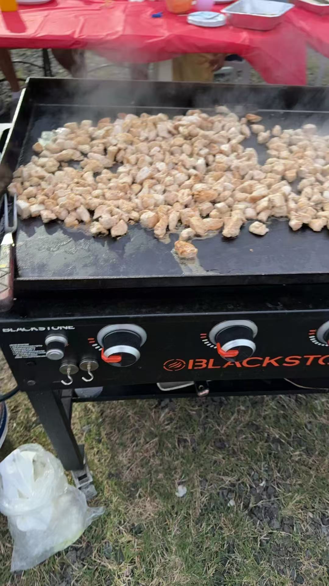 Group of people enjoying a hibachi party outdoors