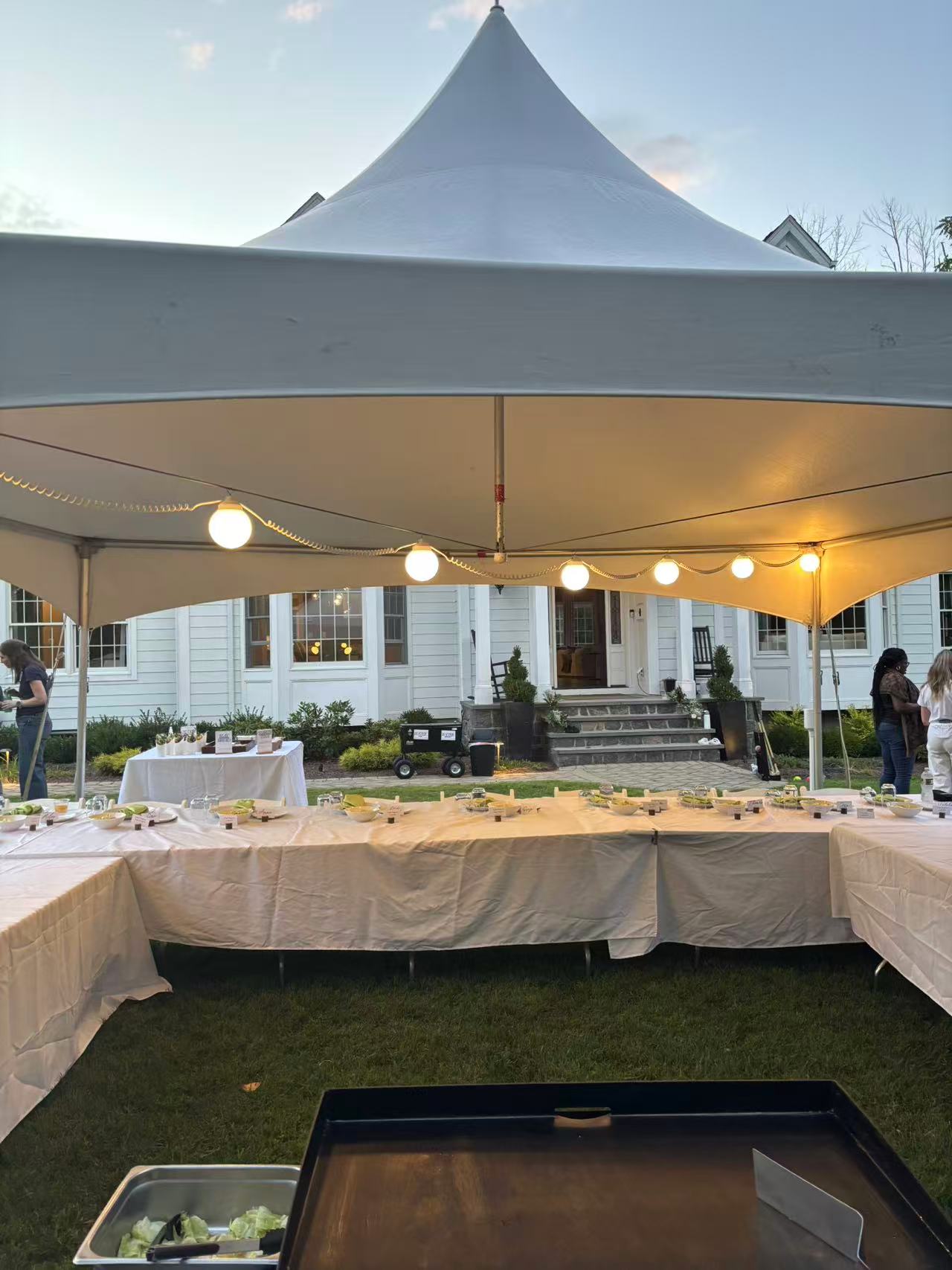 Outdoor hibachi setup in a backyard party
